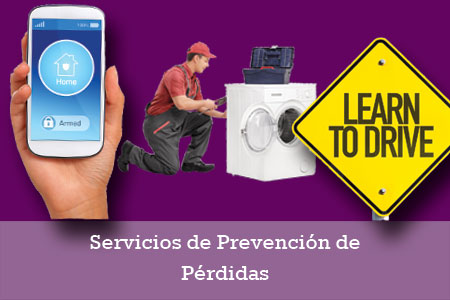 Insurance Loss Prevention Services